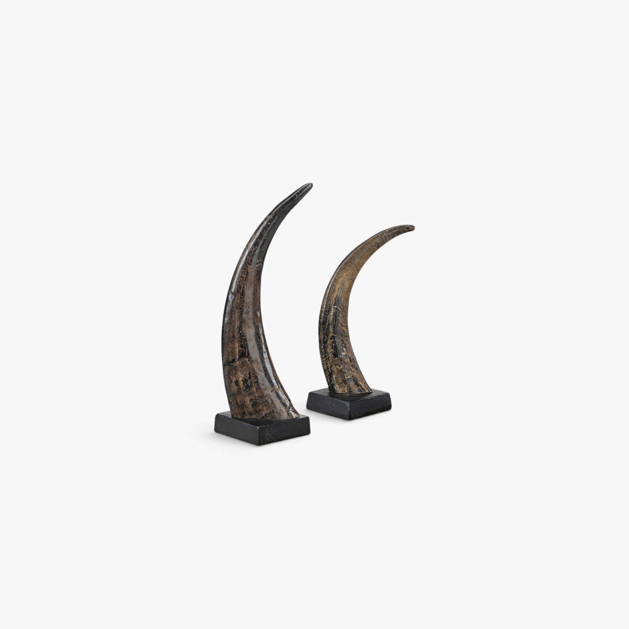 Lyckåsen Avorio set of two natural horn decorative sculptures mounted on black iron bases for home decor.